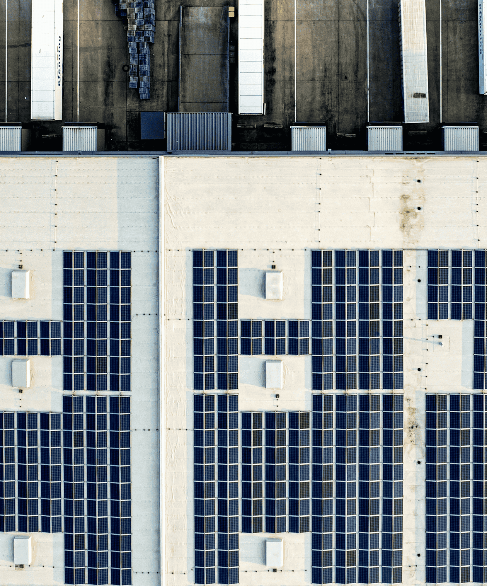 bernd-dittrich-g-SFUAYL0MY-unsplash-1