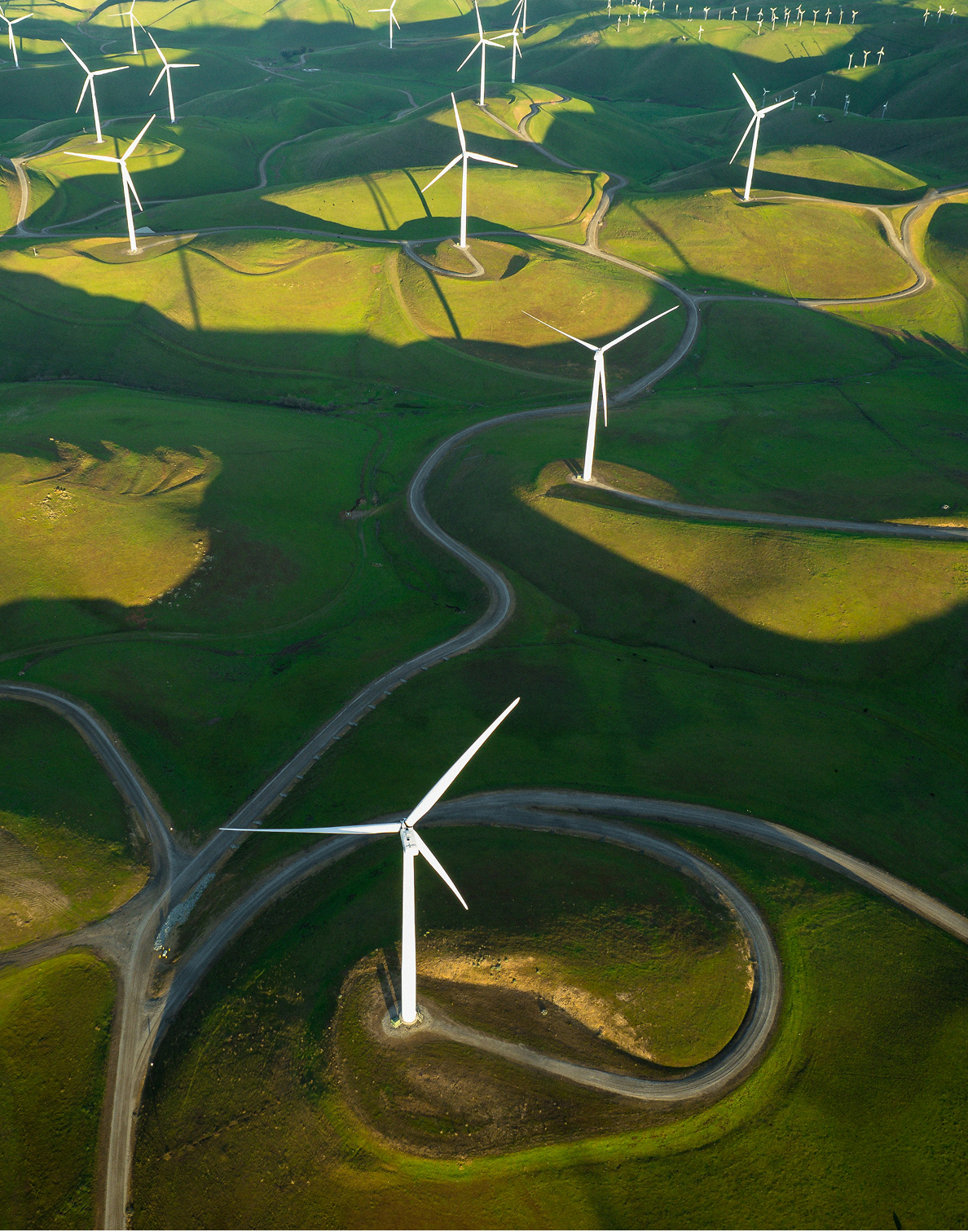 casey-horner-sccYGleSi3I-unsplash 1